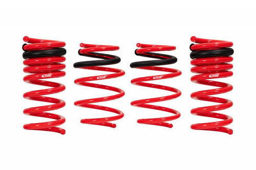 Eibach 2873.140 Pro-Kit Performance Springs for 05-10 Magnum & 300C